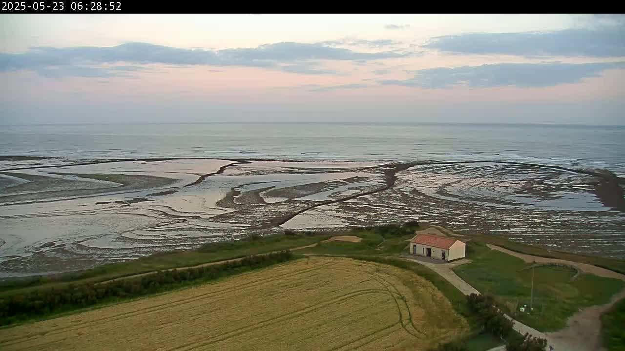 An aerial view shows a calm sea under a pale pink and gray sky, a tidal flat with intricate patterns, a small building near a field, and a grassy area.