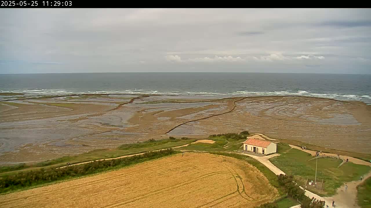 A coastal scene under an overcast sky shows a tan expanse of exposed tidal flats leading to a gray ocean with small waves,  a small building near a grassy area, and a golden field further inland.