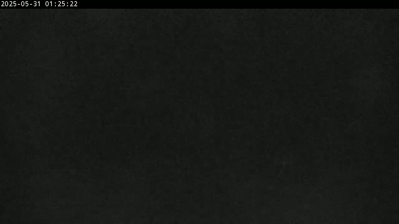 The image is a uniformly dark, textured black.
