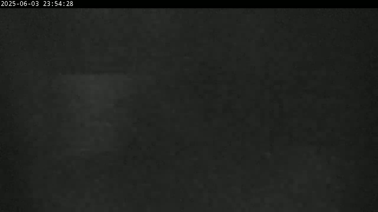 A very dark, blurry image shows a mostly featureless nighttime scene.