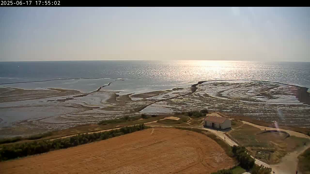 A high-angle, sunny view shows a calm sea reflecting sunlight, low-lying exposed land with tidal pools and meandering waterways, a small building near a path, and a brown field.