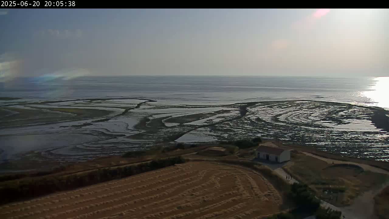 A calm, sunlit ocean meets a tidal flat patterned with shallow pools and channels, adjacent to a harvested field and a small building.
