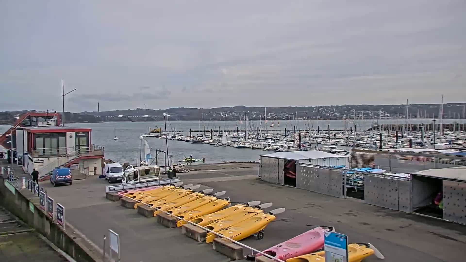 A marina with numerous sailboats and a collection of yellow kayaks, under an overcast sky.