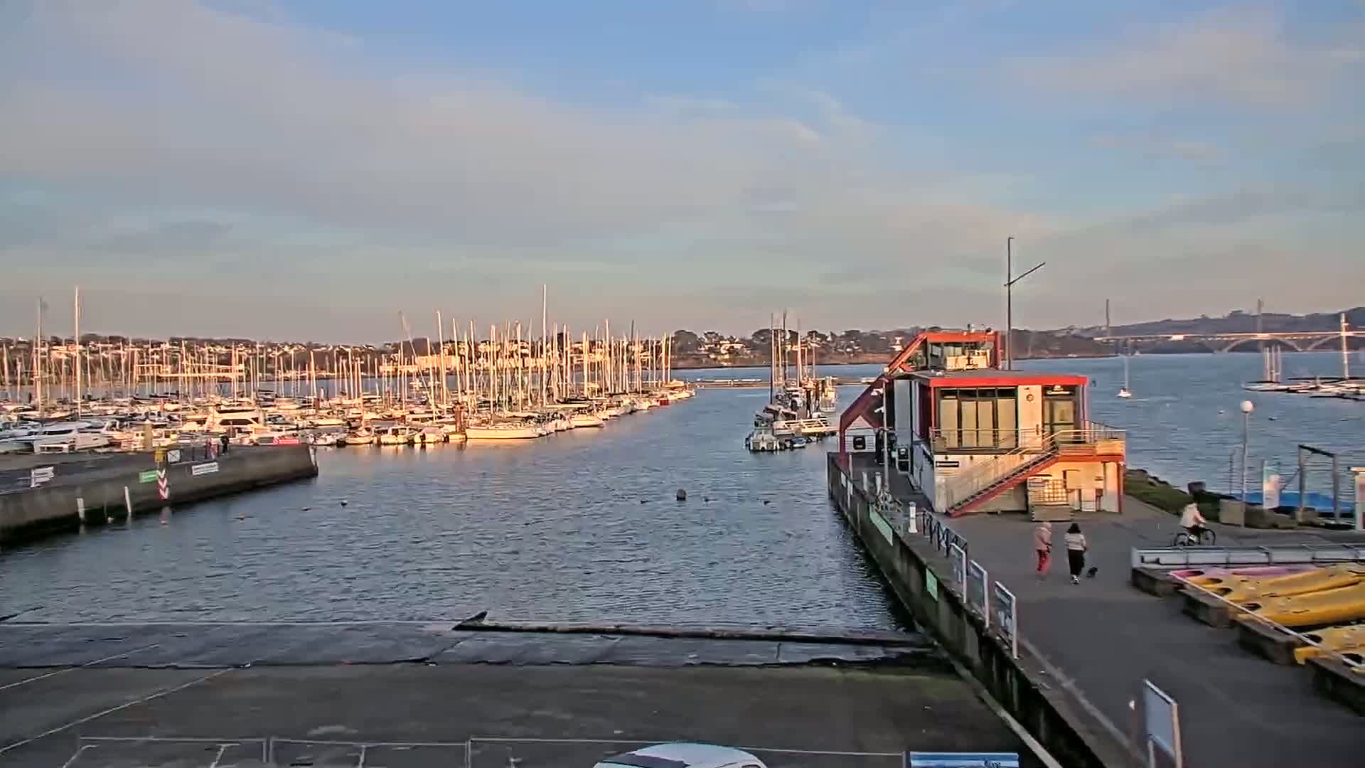 A marina filled with sailboats under a mostly clear sky, with a modern building and people walking along a dock.