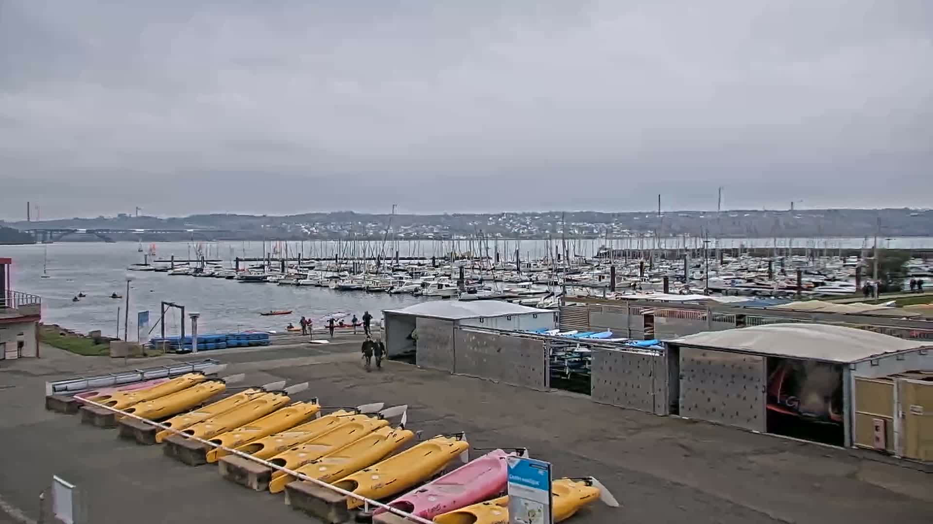 A marina filled with numerous sailboats and motorboats under an overcast sky, with yellow kayaks lined up on the shore in front of storage sheds.