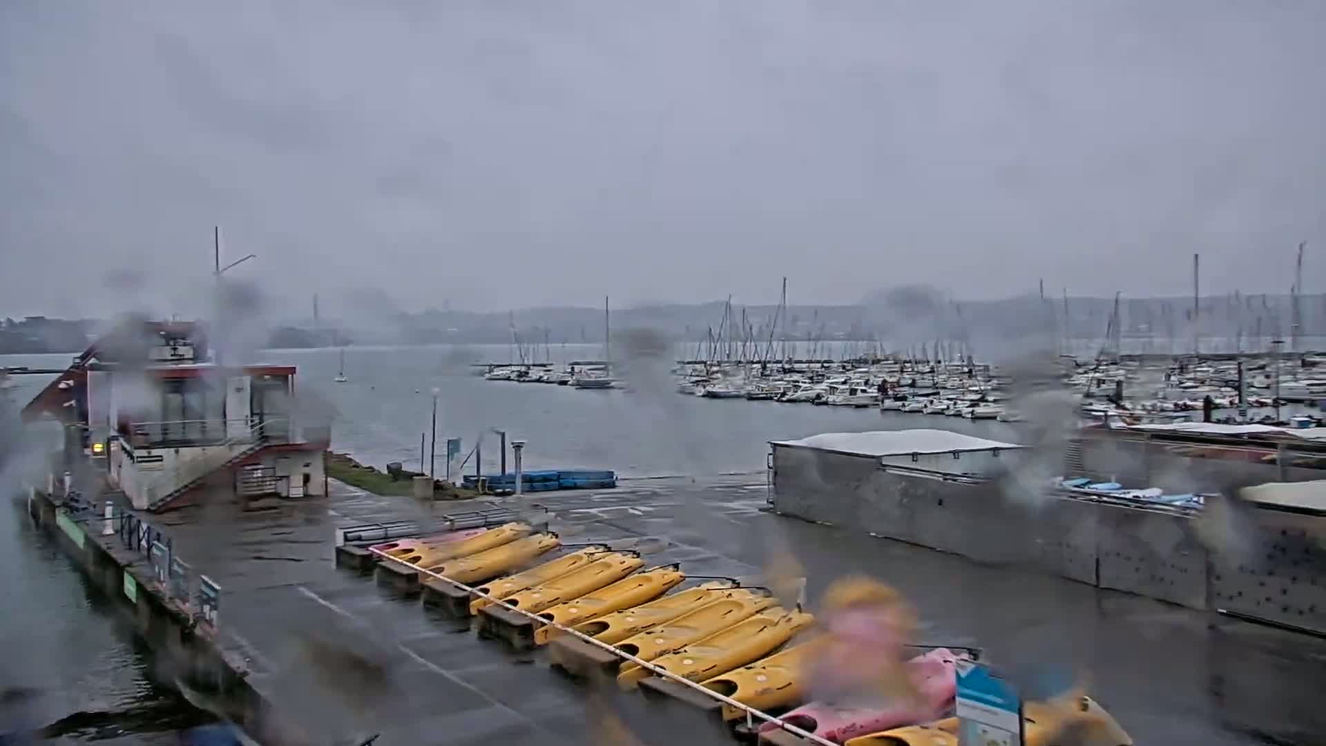 A marina with numerous boats, a small building, and rows of yellow kayaks is seen on a rainy day.