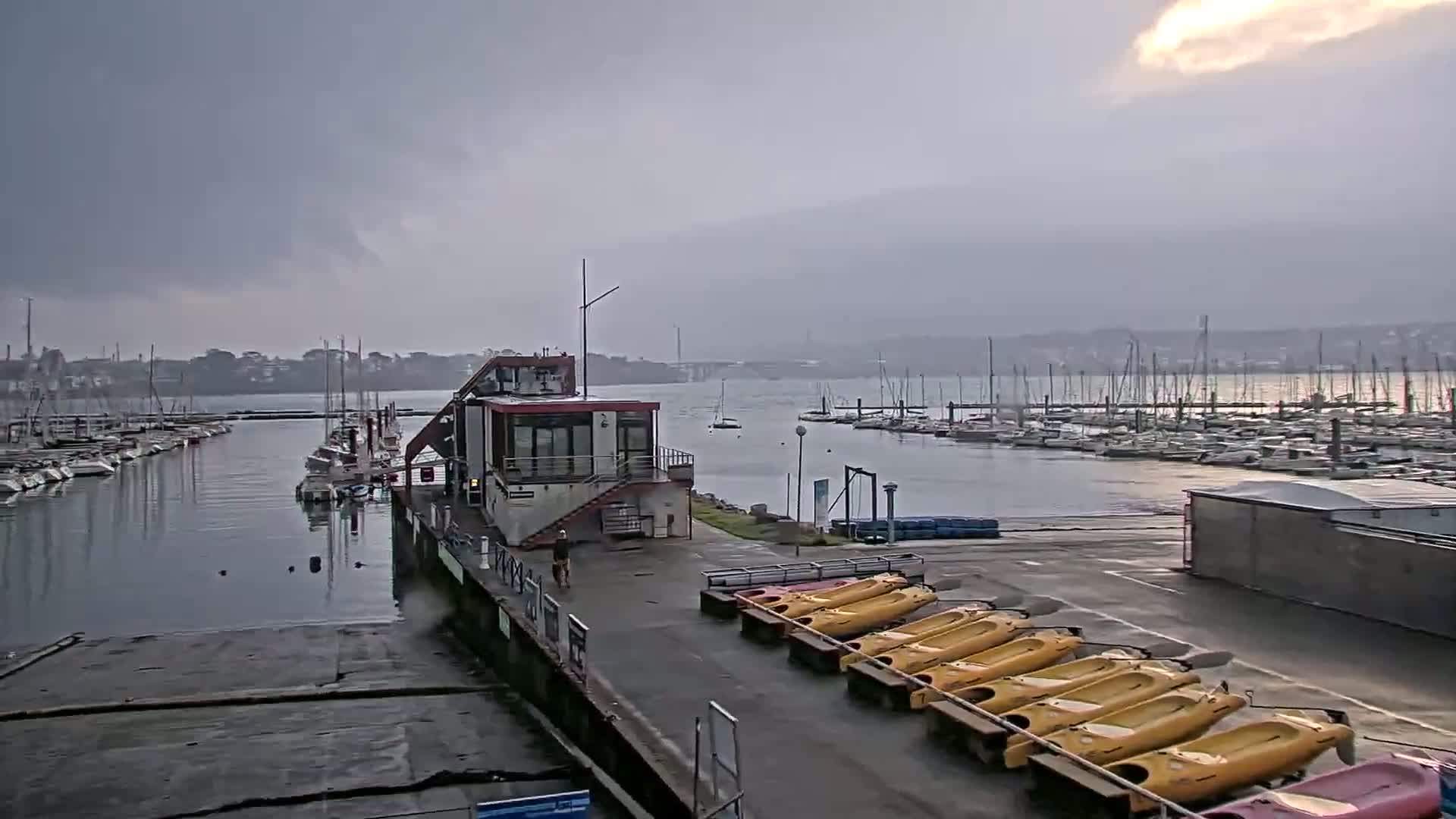 A marina with numerous sailboats moored in calm water under an overcast sky, featuring a small building and several yellow kayaks lined up on the dock.