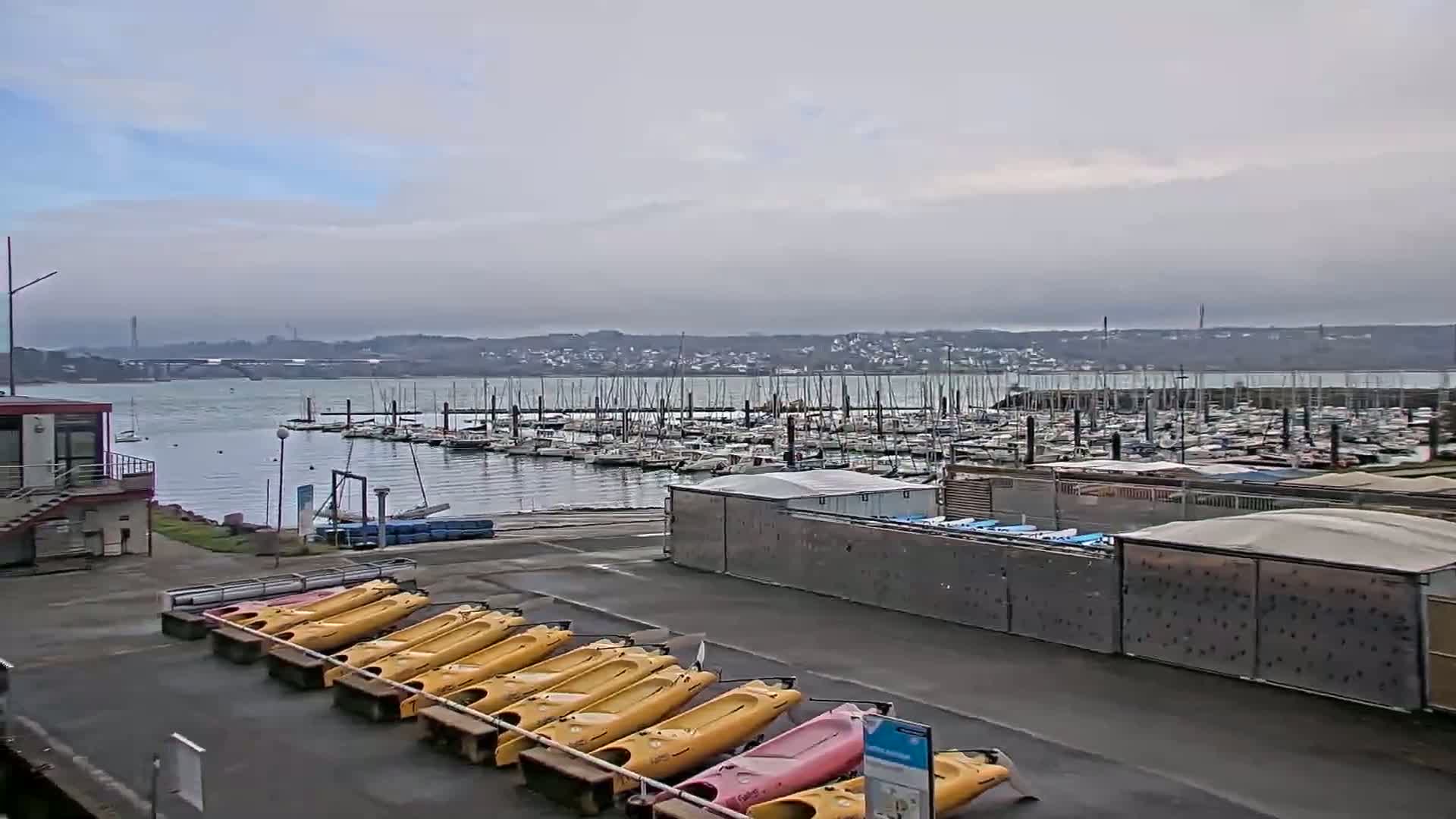 A marina filled with sailboats under an overcast sky, with a row of yellow kayaks and a pink kayak resting on a rack in the foreground.