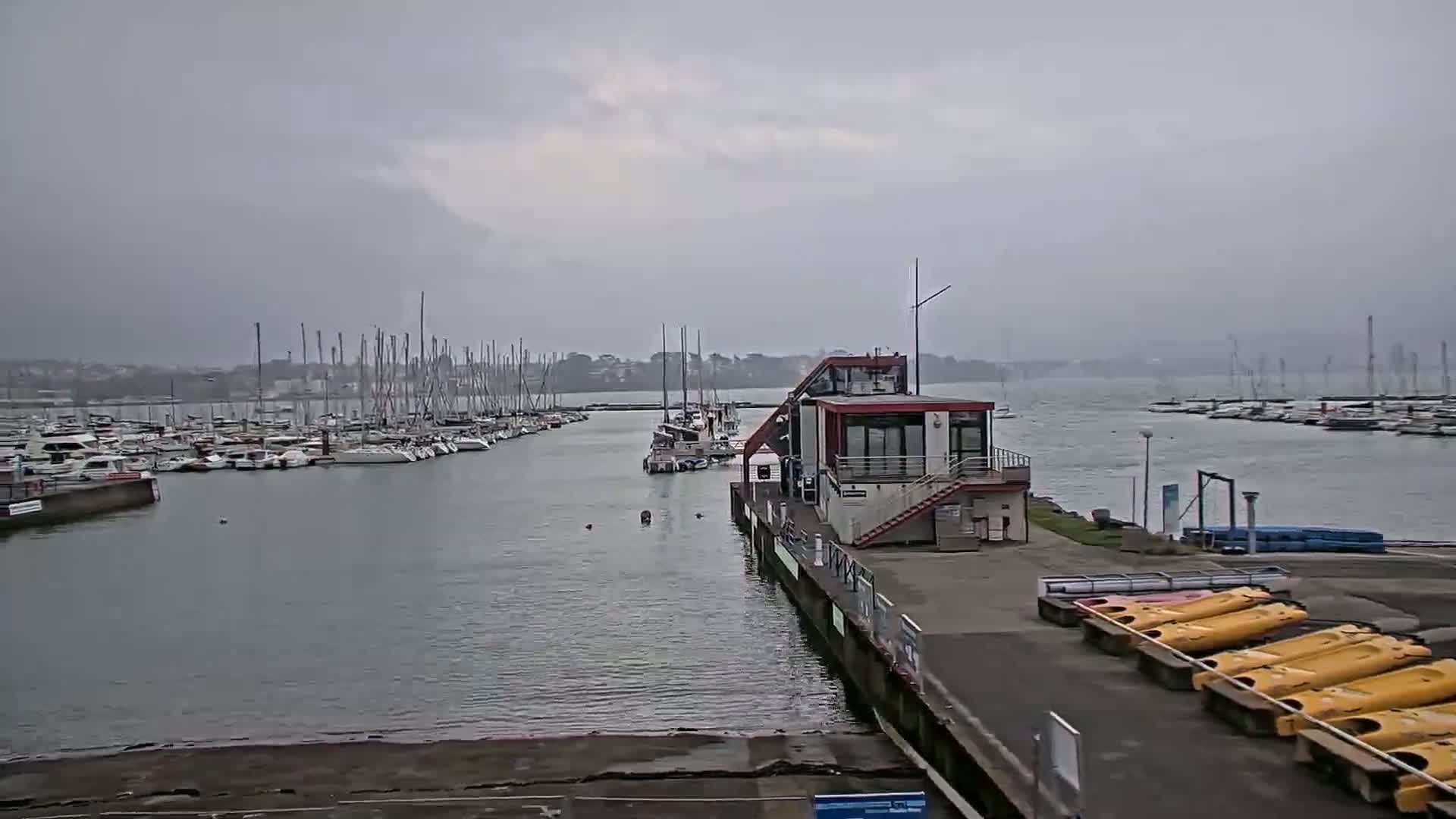 A marina filled with sailboats is seen under an overcast sky.