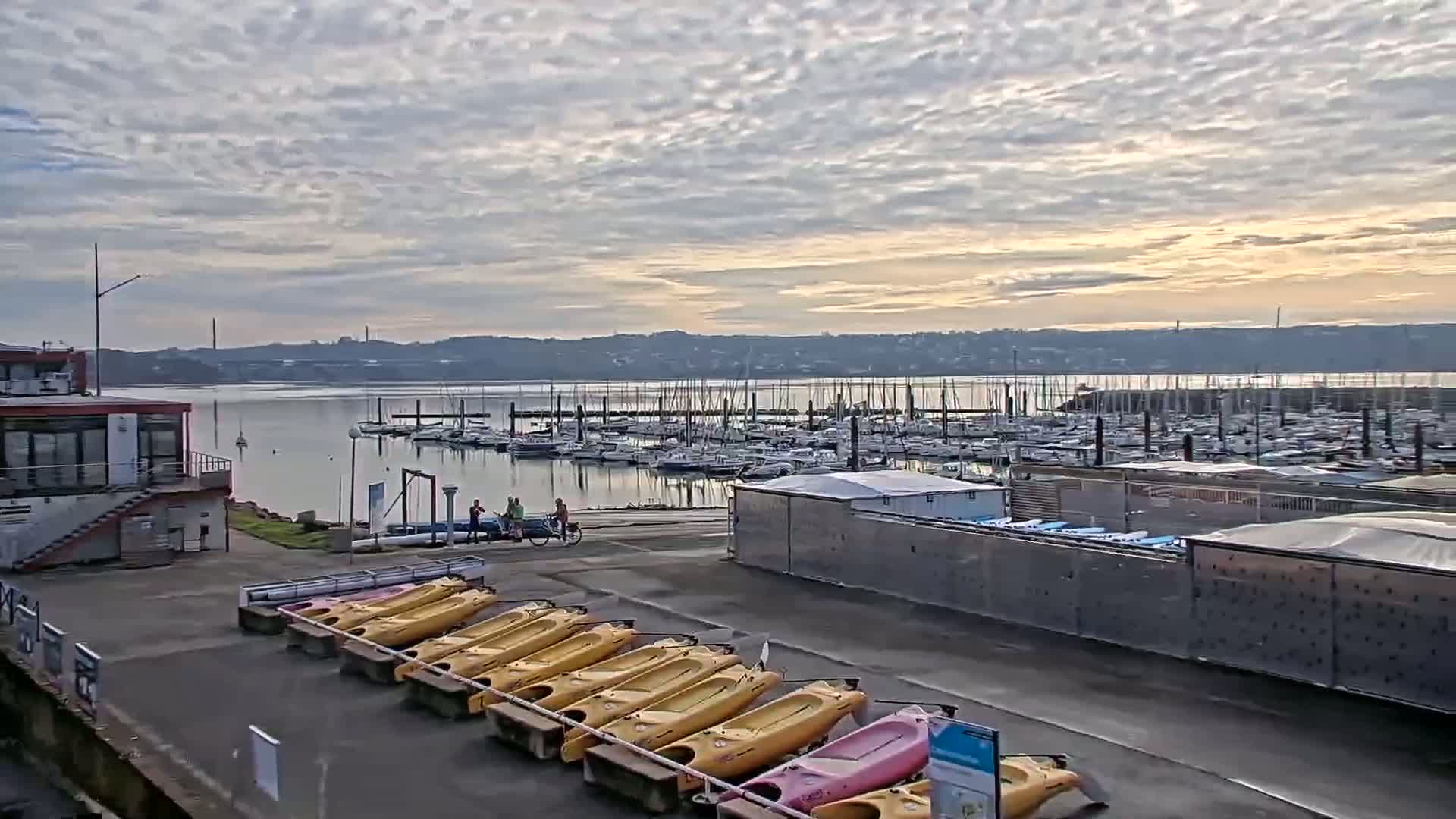 A calm body of water with many sailboats docked at a marina is seen under a mostly cloudy sky with hints of sunrise.