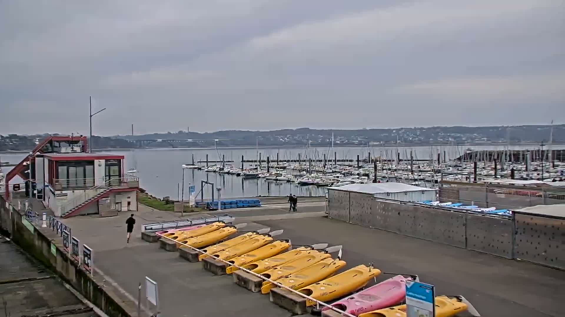 A marina with numerous boats, a small building, and a line of kayaks is visible on an overcast day.