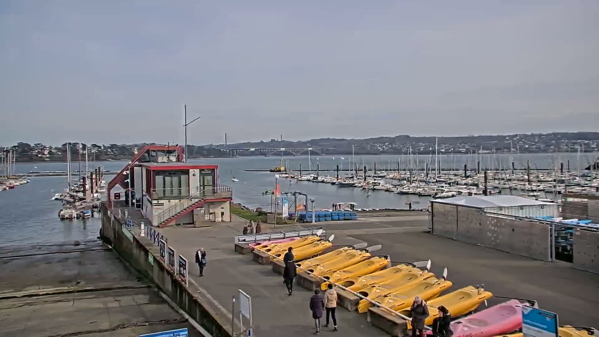 A marina filled with numerous boats on a calm, overcast day, with a small building and rows of kayaks on the shore.