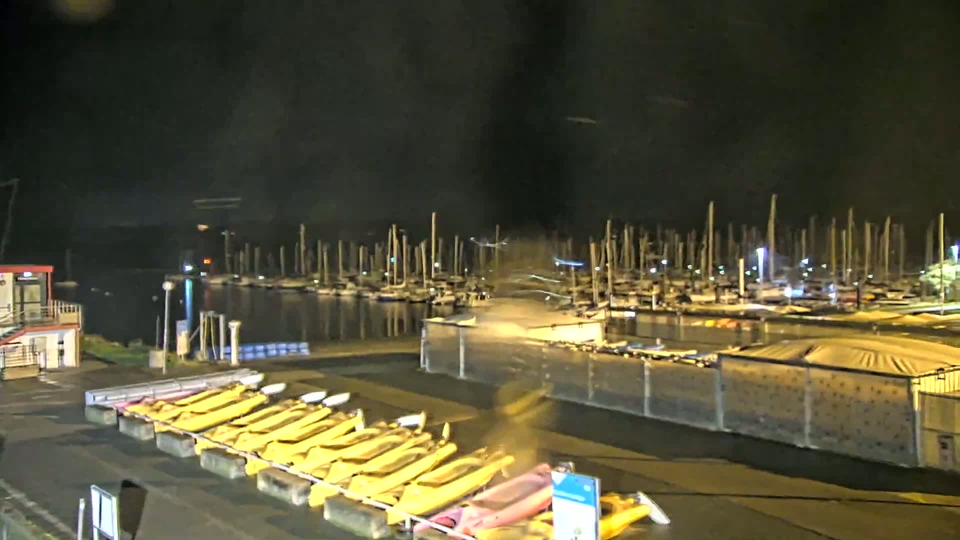 A nighttime view of a marina with many docked sailboats and a row of yellow kayaks on the shore under a dark, possibly cloudy sky.