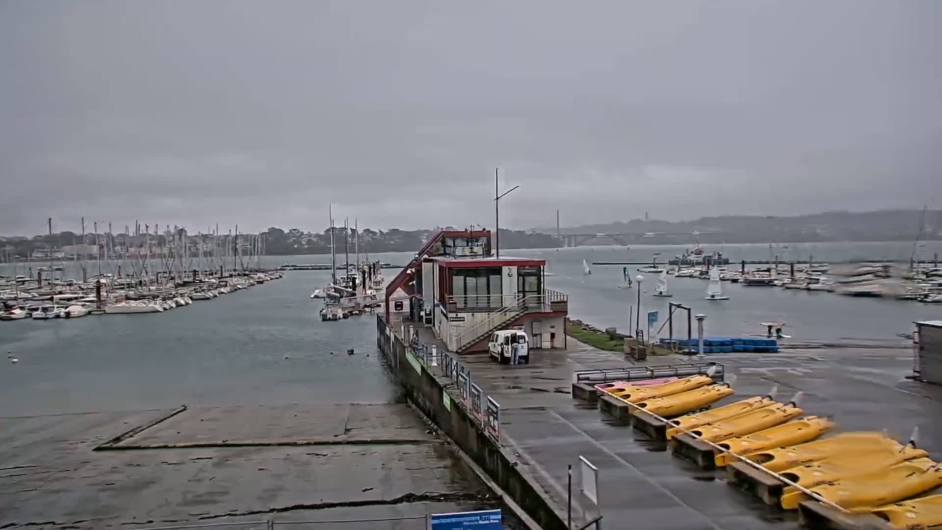 A marina with numerous sailboats and a small building is shown under an overcast sky, with several yellow kayaks lined up on the wet dock.