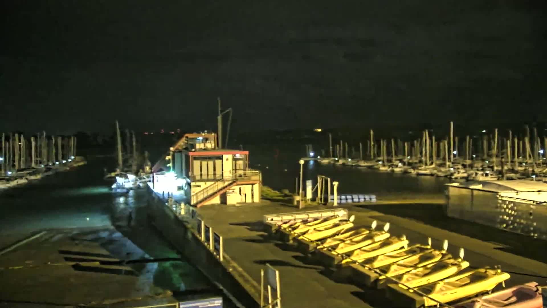 A marina at night, with many boats docked, is illuminated, and several yellow small boats are lined up on the dock.