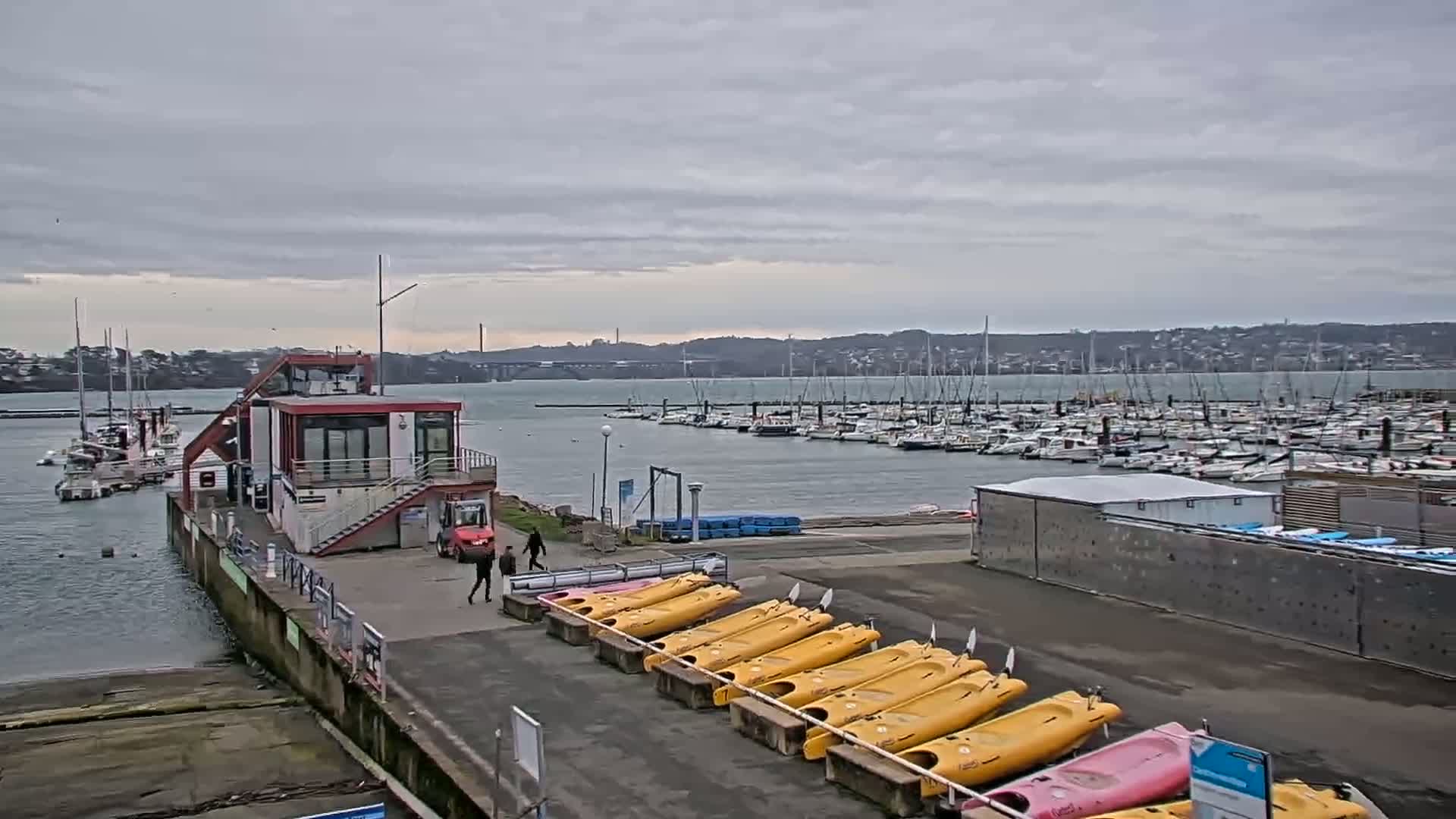 A marina with numerous boats under a cloudy sky, and yellow kayaks lined up on a dock near a small building.