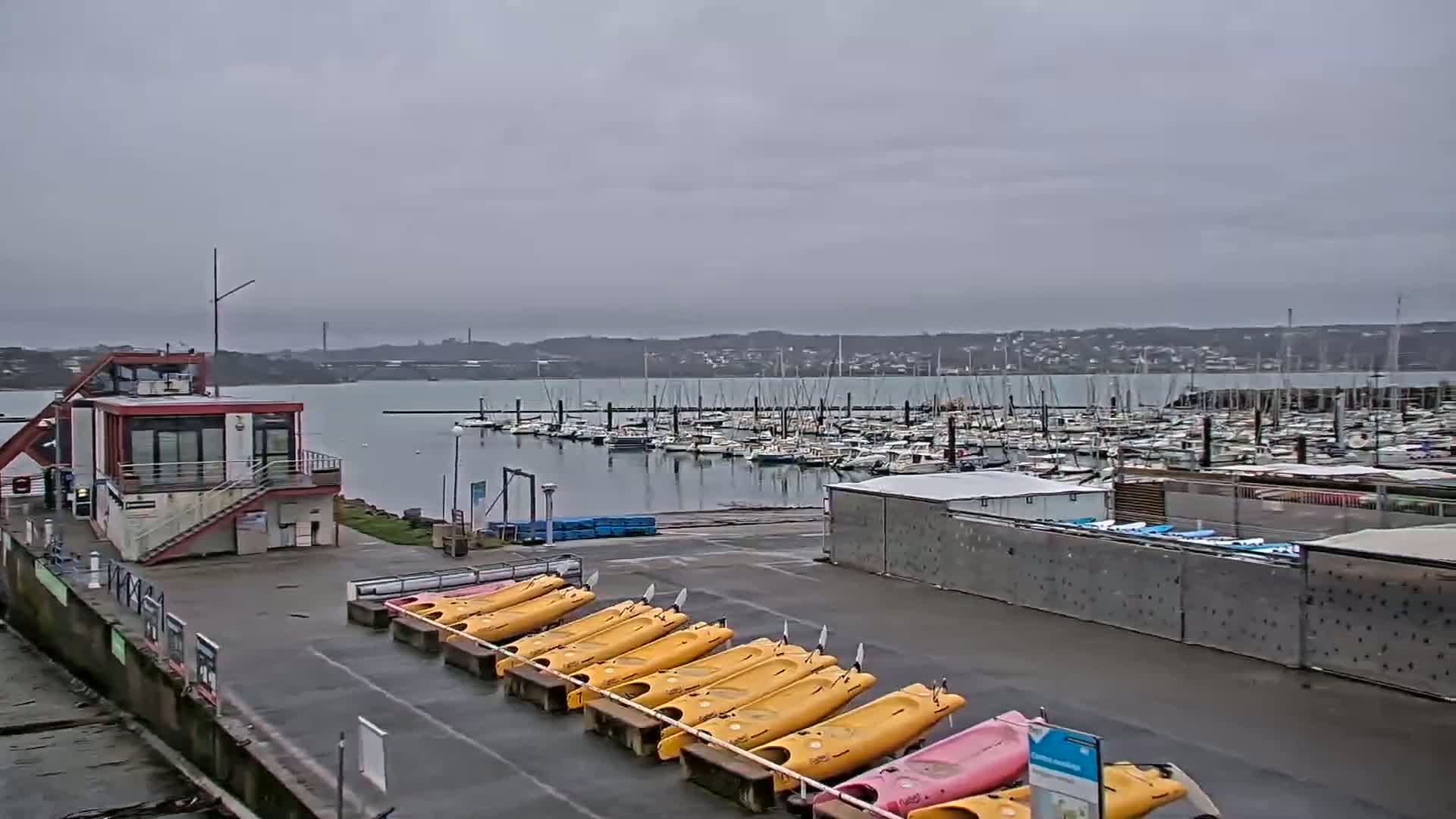 A marina with numerous boats under an overcast sky, and a row of yellow kayaks sitting on the dock near a small red building.