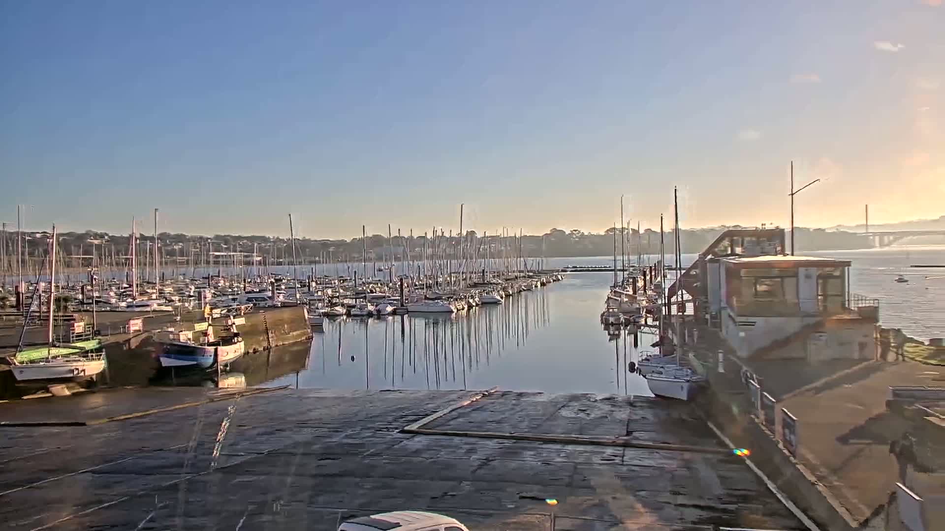 A marina filled with numerous sailboats and motorboats is seen under a clear, sunny sky.