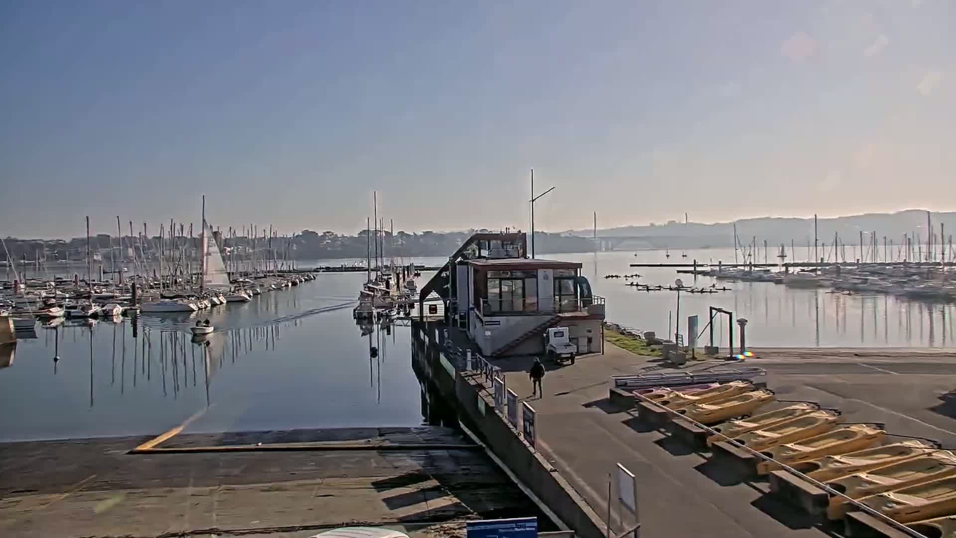 A marina with many sailboats moored, a small building on a pier, and a person walking along a paved area, all under a clear, sunny sky.