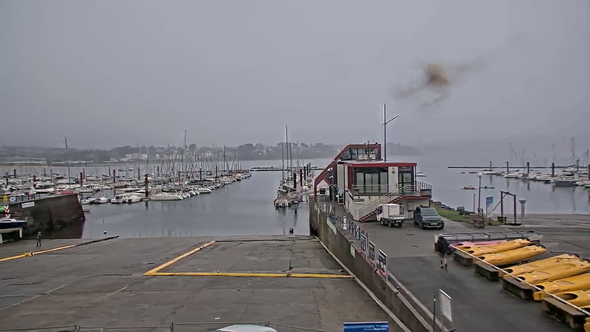 A marina filled with sailboats on a foggy day, with a small building and several kayaks visible near a boat ramp.