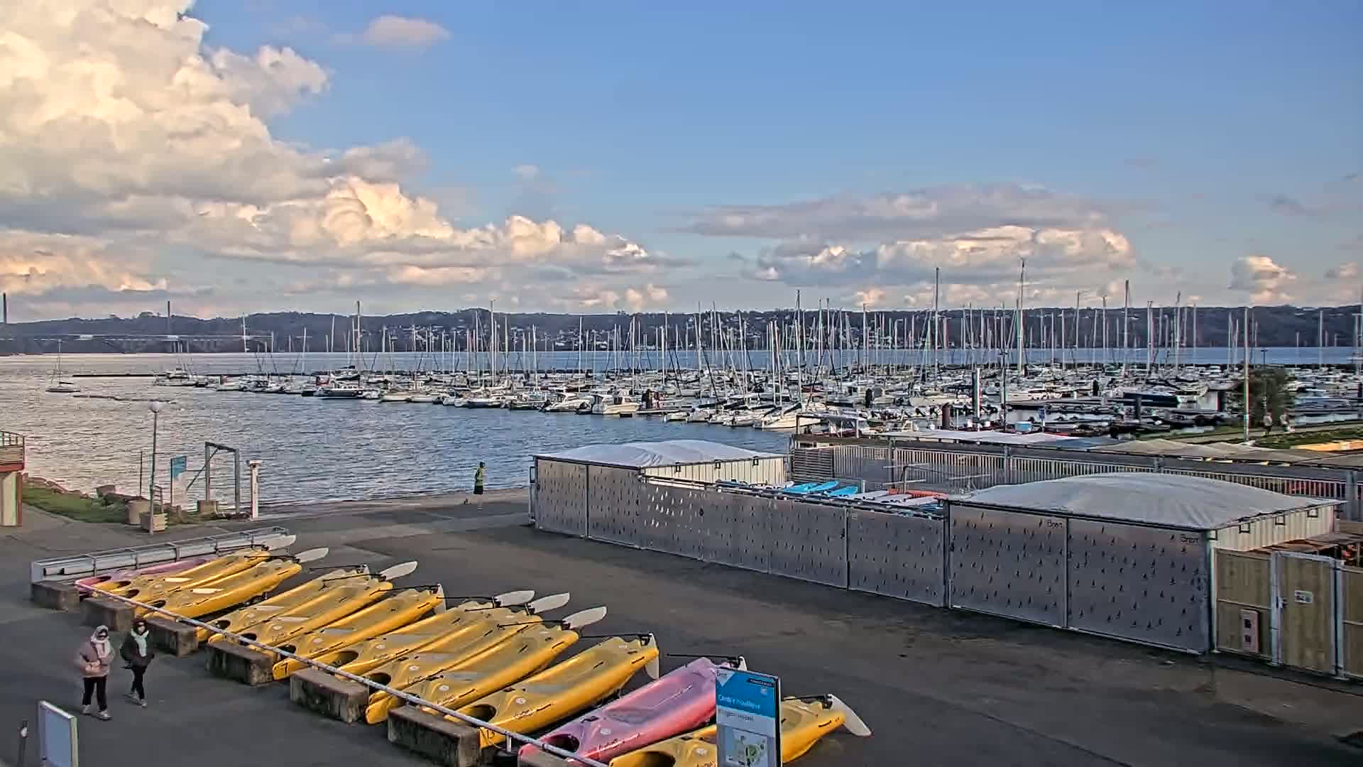 A harbor filled with sailboats under a partly cloudy sky, with a row of yellow kayaks lined up on a paved area nearby.