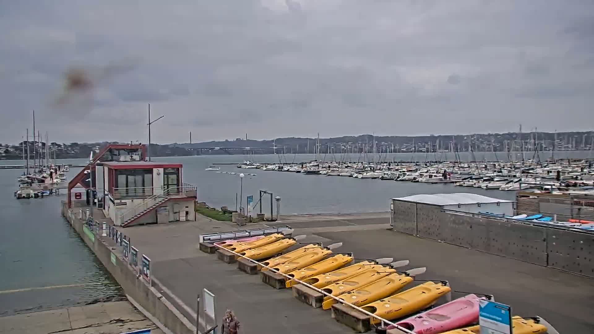 A marina with many boats under an overcast sky, and a row of yellow kayaks are lined up on the shore near a small building.