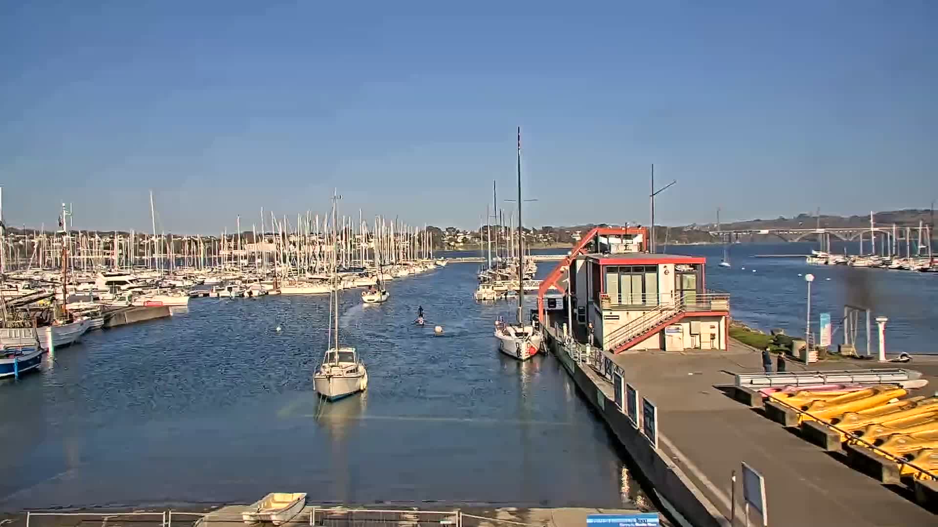 A calm harbor filled with numerous sailboats under a clear blue sky.