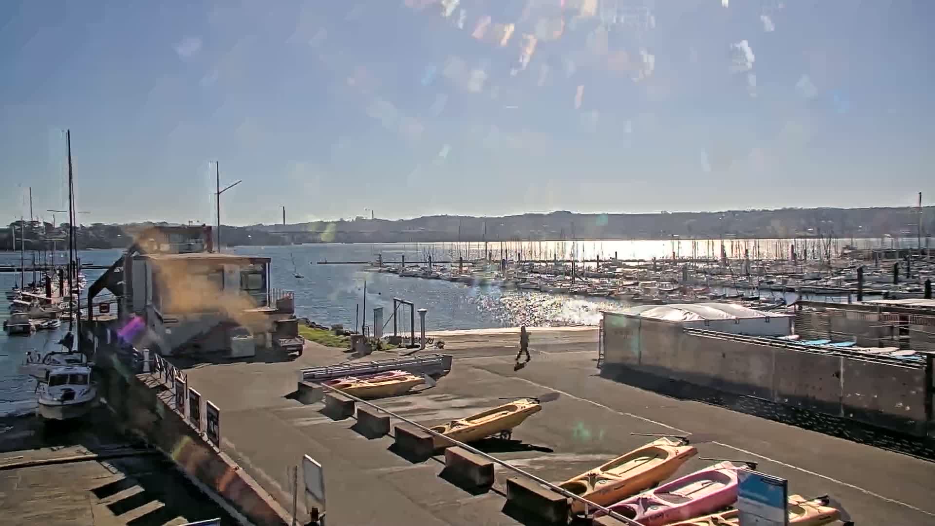 A sunny day at a marina shows numerous boats docked in the water, with kayaks and a small motorboat at the shore.