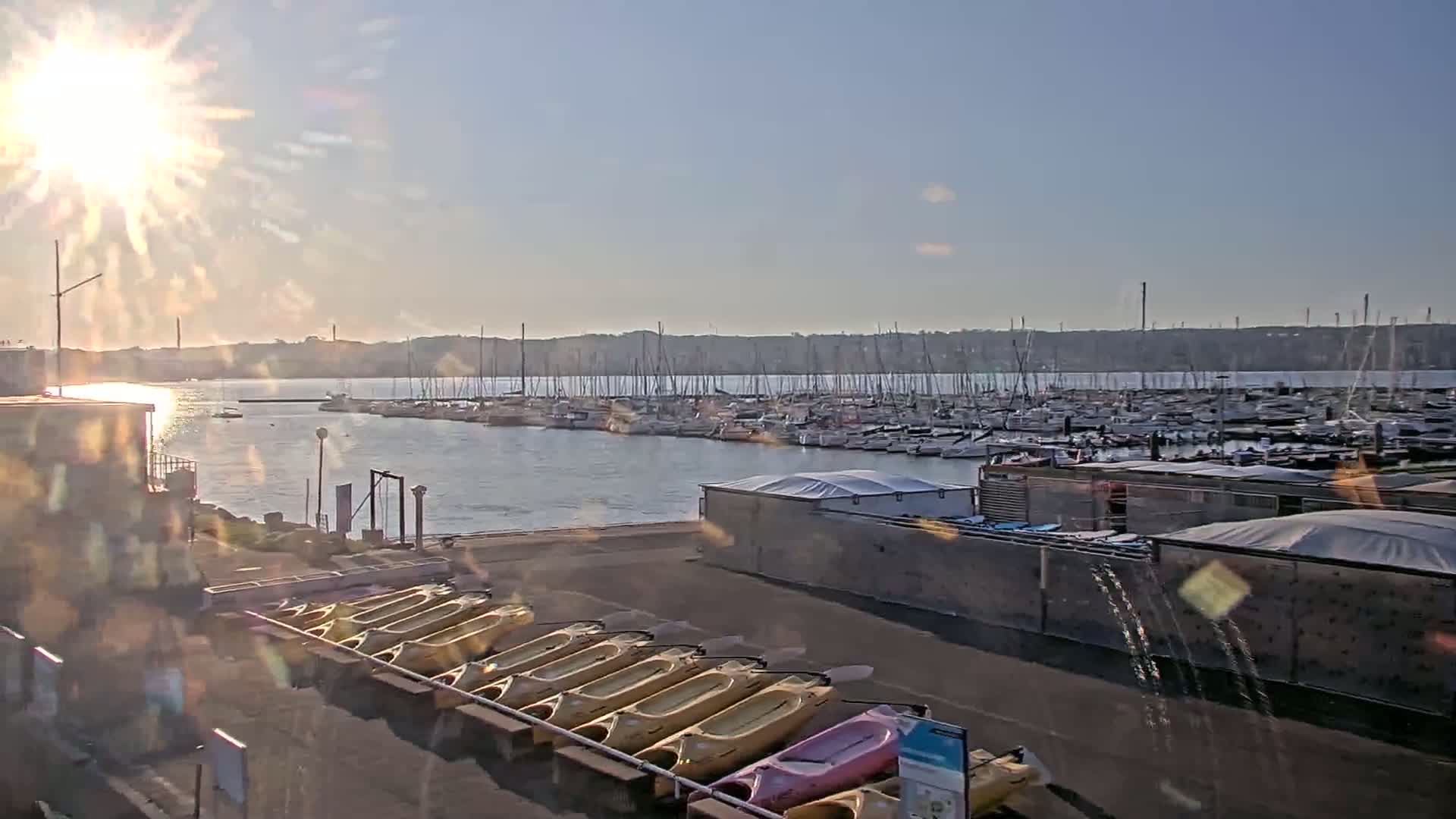 A sunny day at a marina shows numerous sailboats and motorboats docked in the water, with kayaks lined up on the shore.