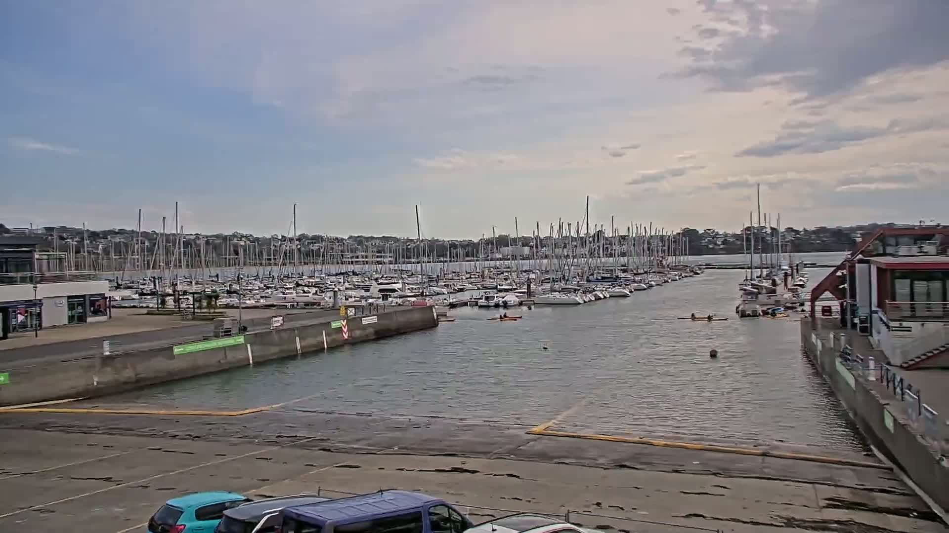A marina filled with numerous sailboats under a mostly cloudy sky, with a few kayakers paddling in the calm water.