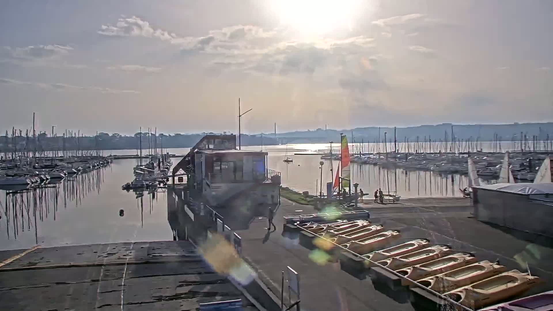 A marina filled with sailboats on a calm, sunny day.