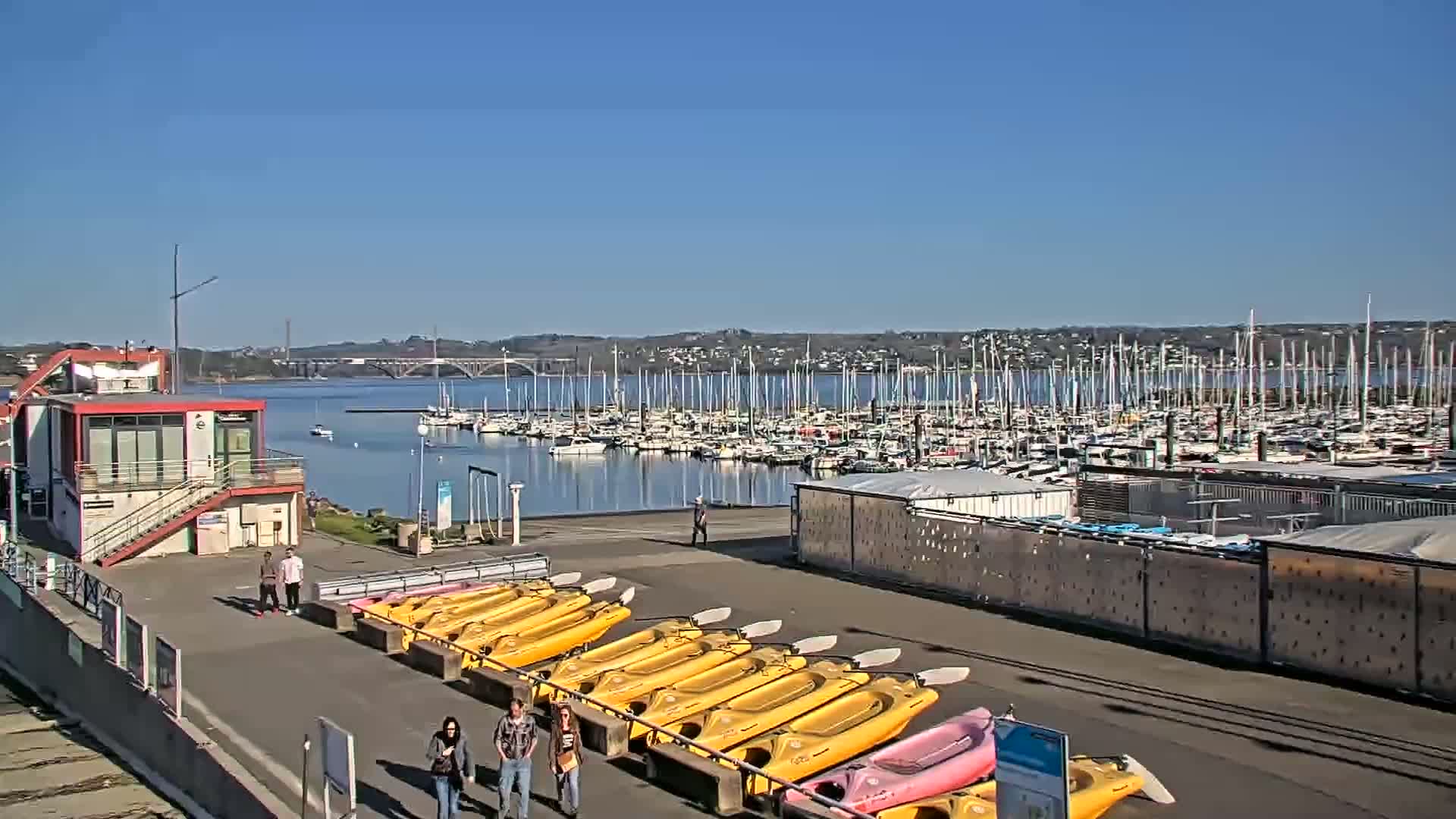 A sunny day at a marina shows numerous sailboats moored in the water, with yellow kayaks lined up on the shore next to several people.