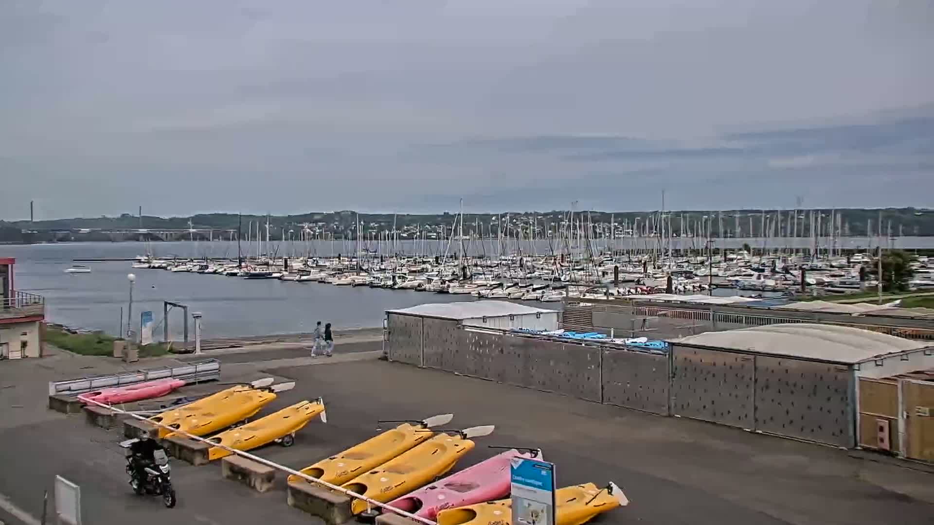 A marina filled with numerous sailboats and motorboats is seen under an overcast sky, with kayaks and a motorcycle parked nearby on land.