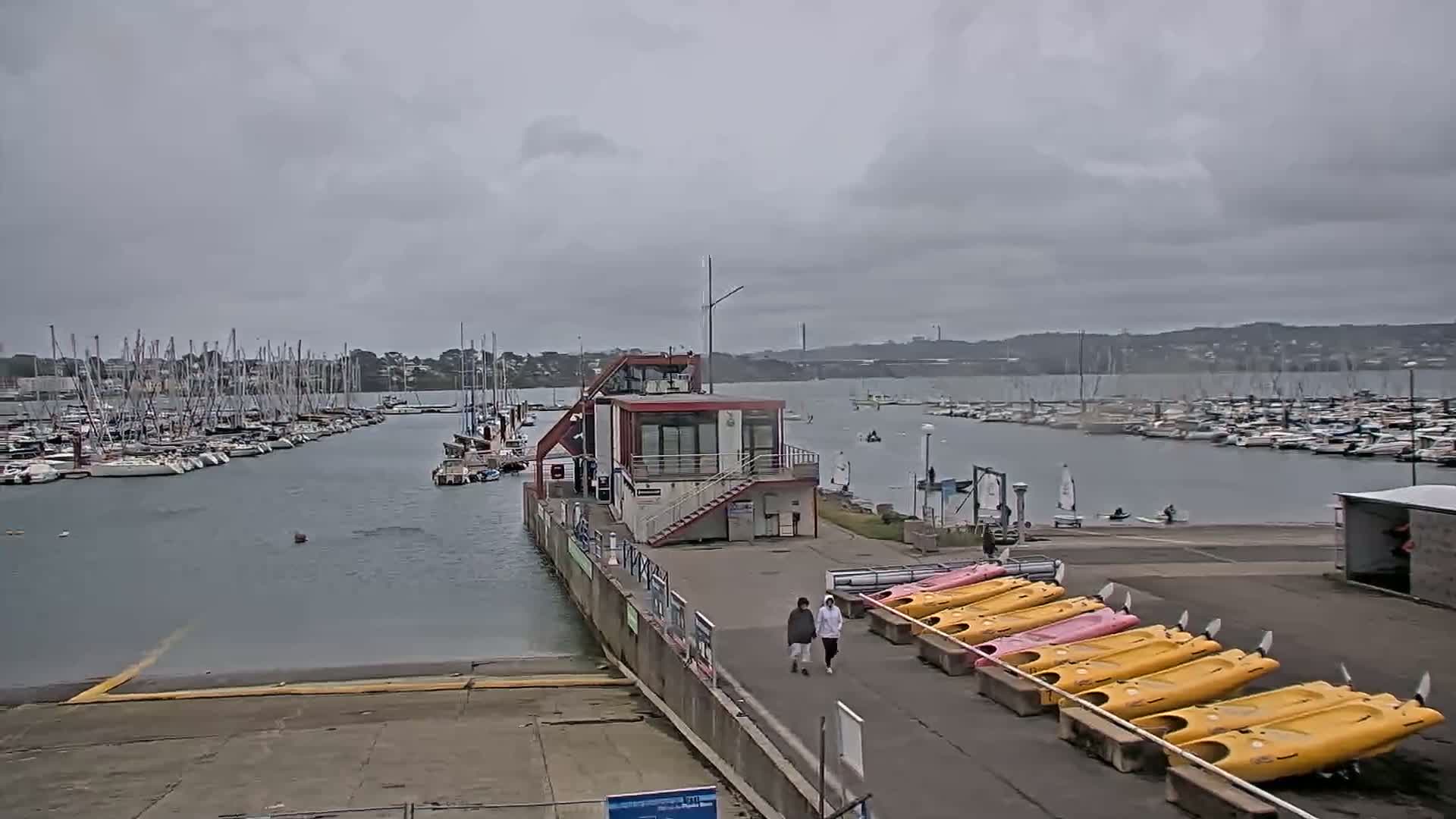 A marina filled with sailboats under an overcast sky, with a small building and rows of kayaks on a nearby dock.