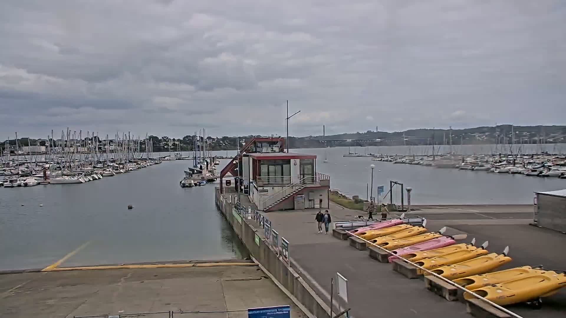 A marina with many sailboats, a small building, and several kayaks is shown under a cloudy sky.