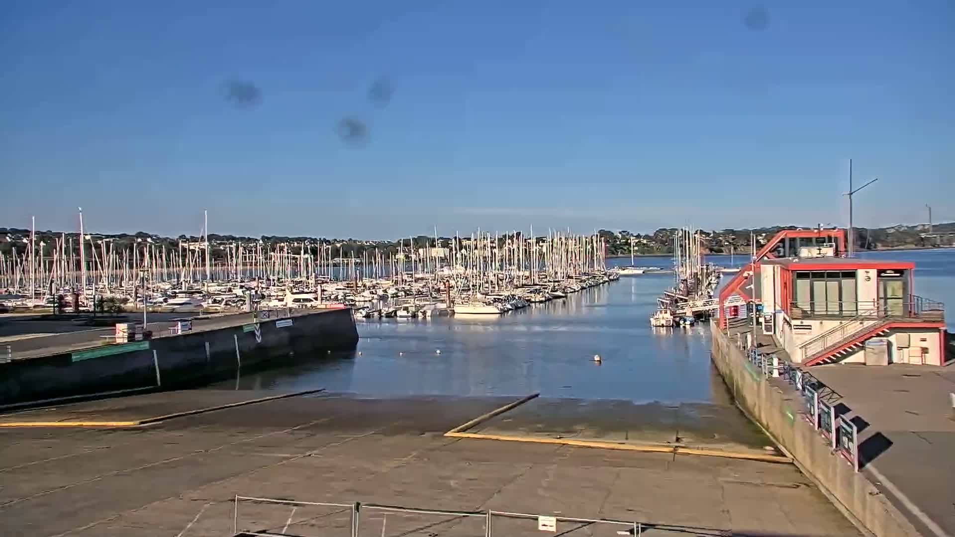 A marina filled with numerous sailboats is visible on a sunny day, with calm water and a red building situated at the marina's edge.