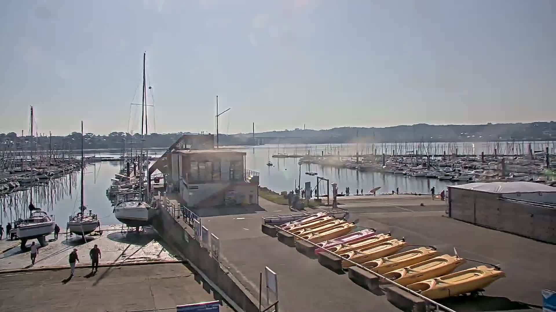 A marina with numerous sailboats and kayaks on a sunny day, with a calm body of water and a distant shoreline visible.
