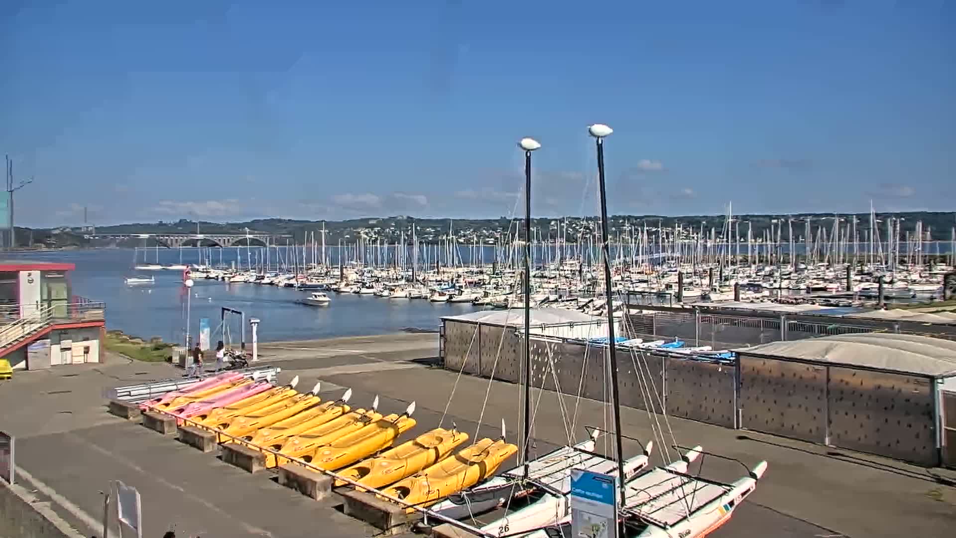 A marina with numerous sailboats in the water under a sunny sky, lined with kayaks and catamarans on land.