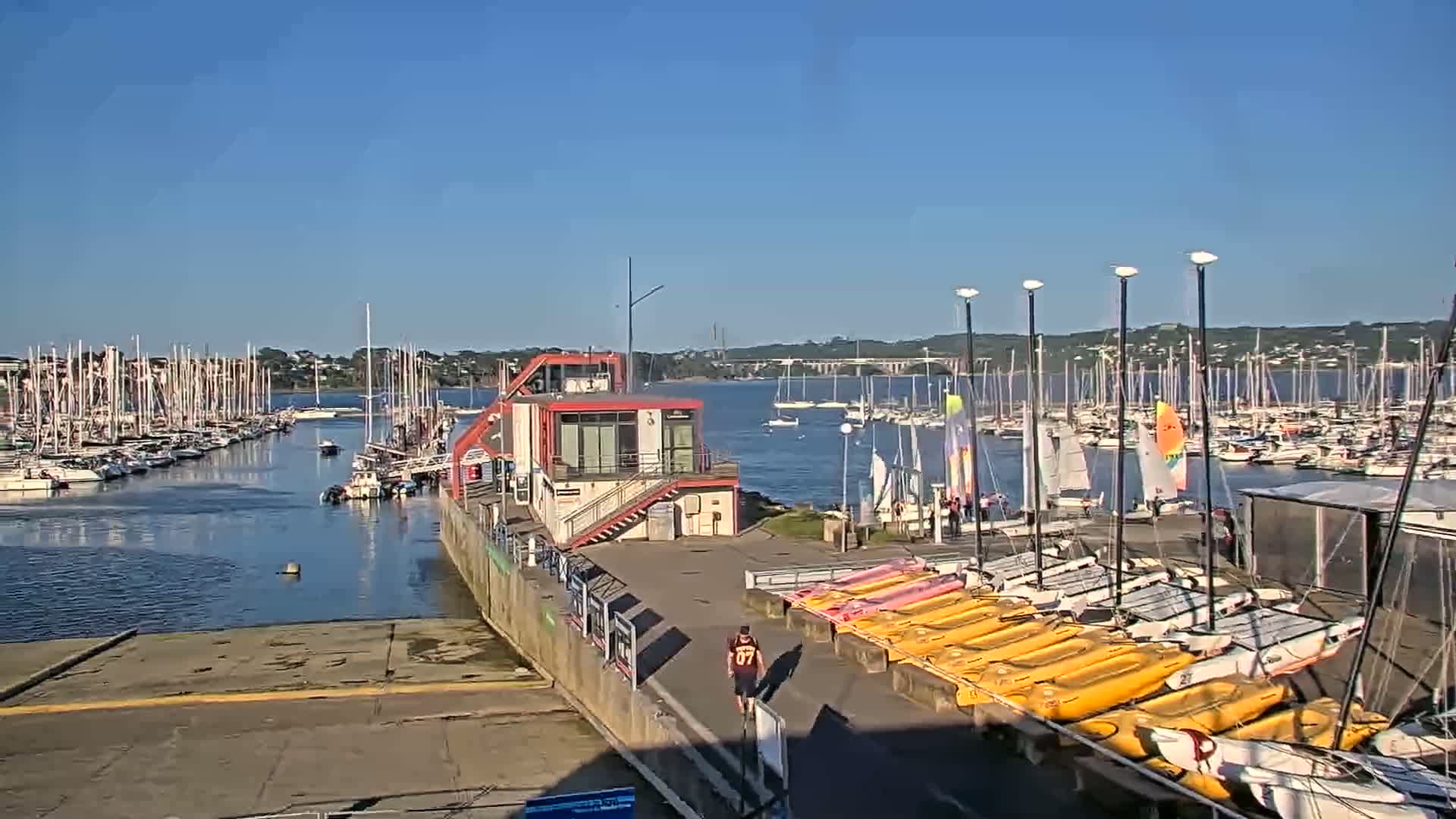 A marina filled with sailboats and small catamarans under a clear blue sky, with a person walking along a paved walkway near a small building.