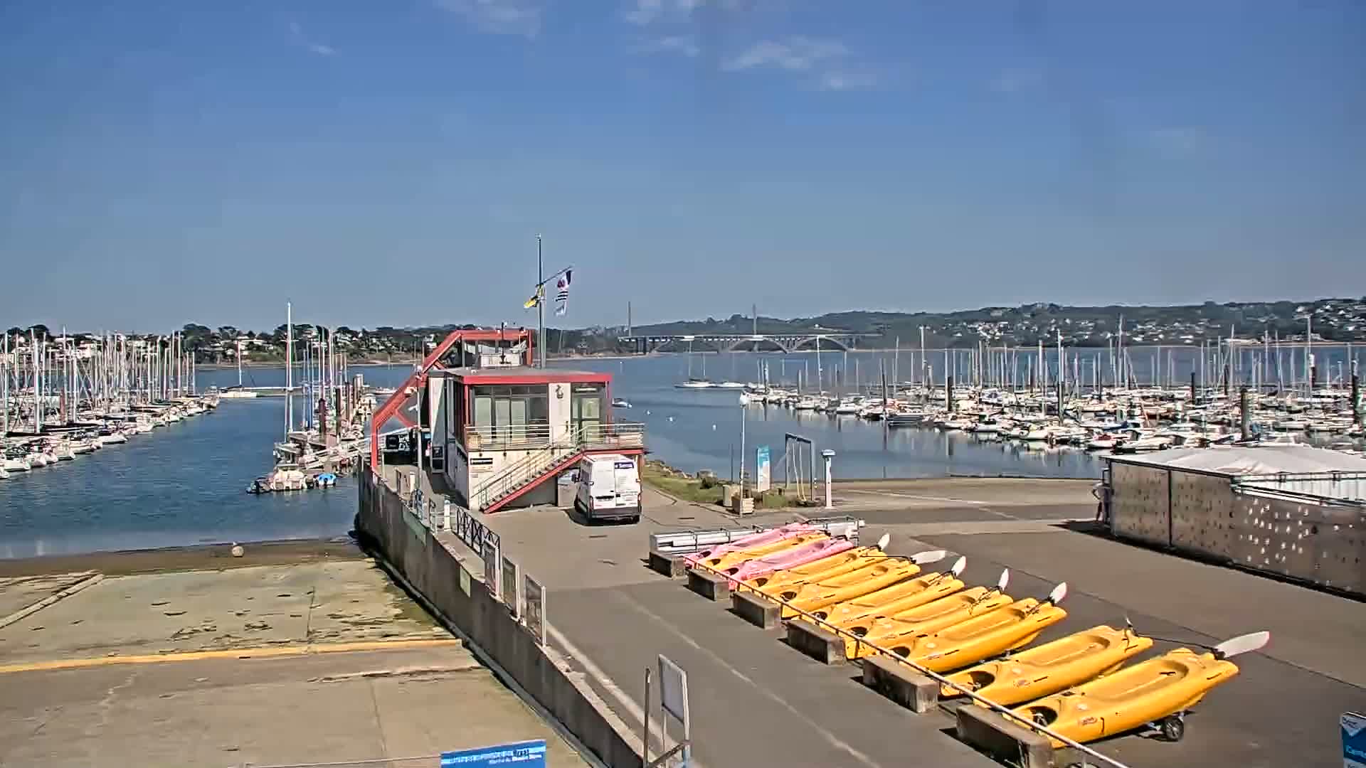 A marina filled with sailboats on a sunny day, with a row of yellow kayaks and a small building near the water's edge.