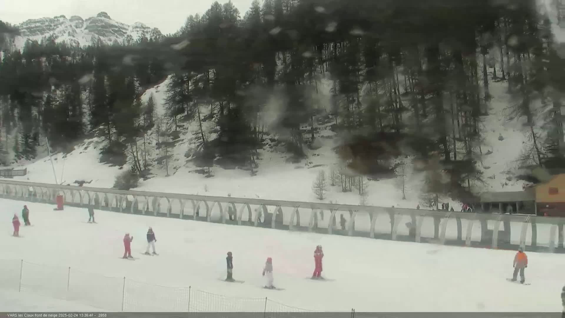 A snowy, overcast day shows several skiers on a gently sloping hill surrounded by snow-covered evergreens and mountains in the distance.