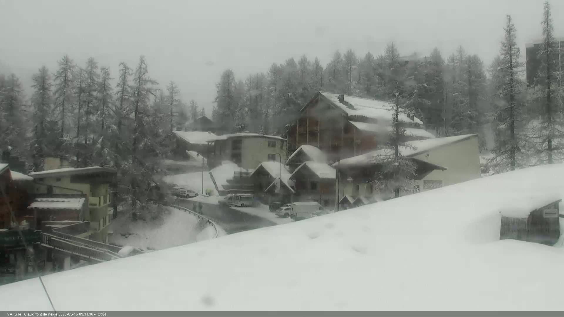 A snow-covered village nestled among snow-laden pine trees in heavy snow.