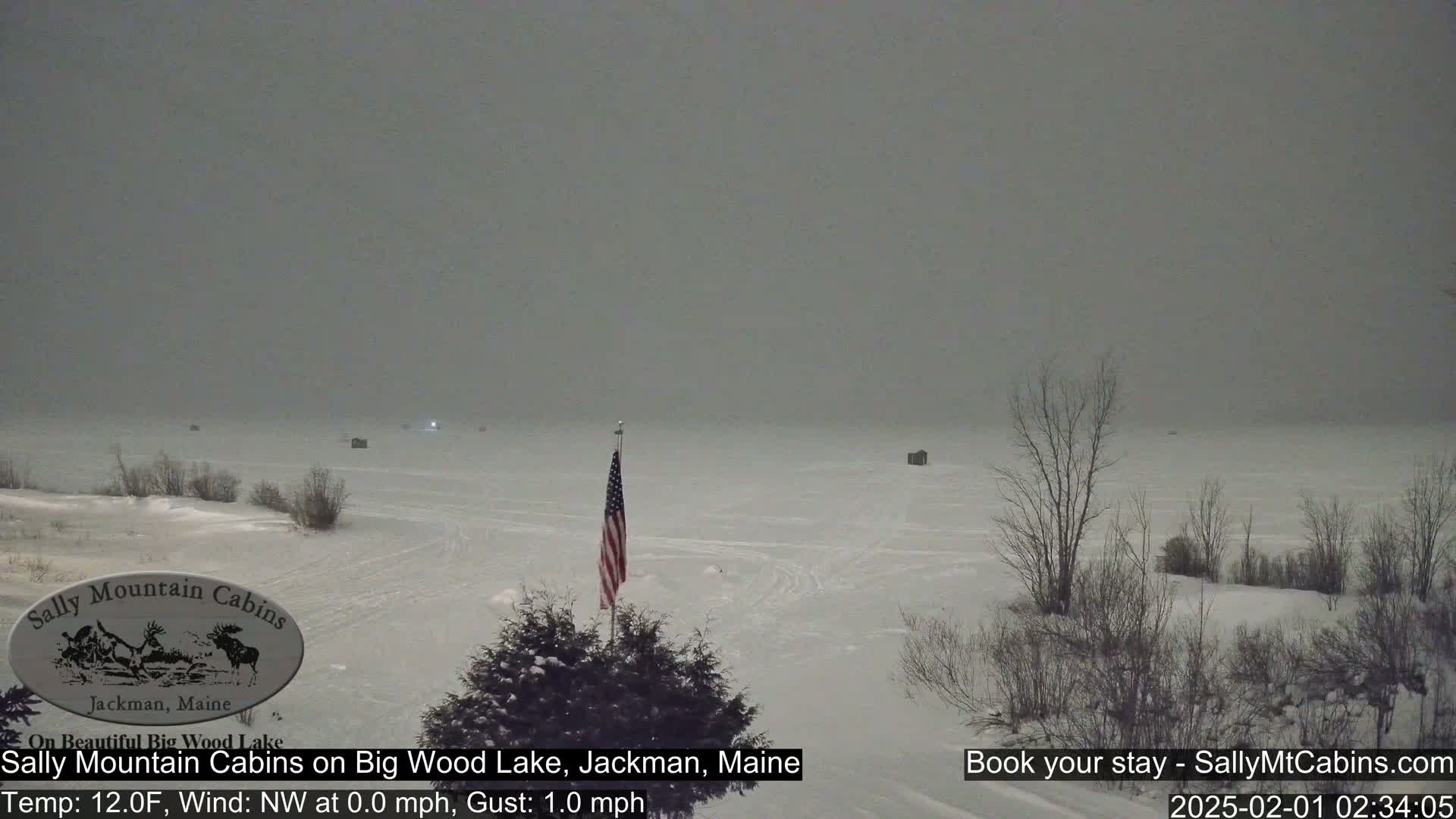 A snow-covered frozen lake is visible under an overcast sky, with a small American flag standing near some snow-covered bushes in the foreground.