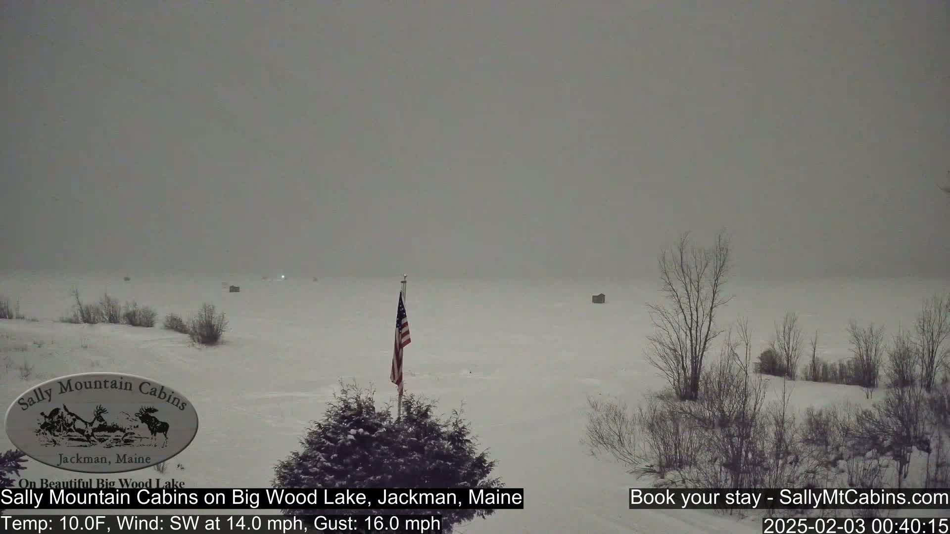A snow-covered landscape with a frozen lake, bare trees, and an American flag on a pole is visible under an overcast sky.