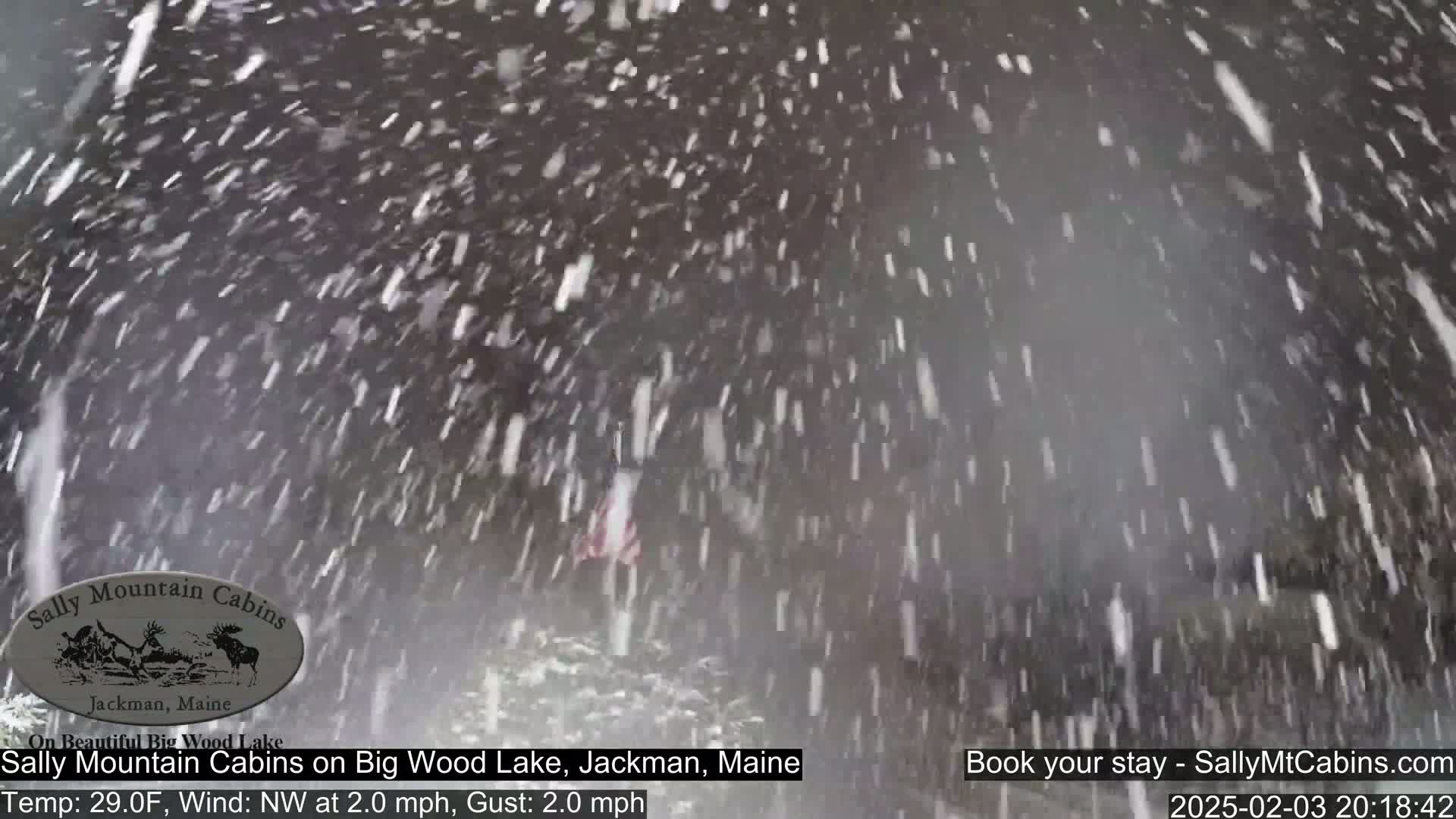 Heavy snowfall obscures the view of a dark surface.