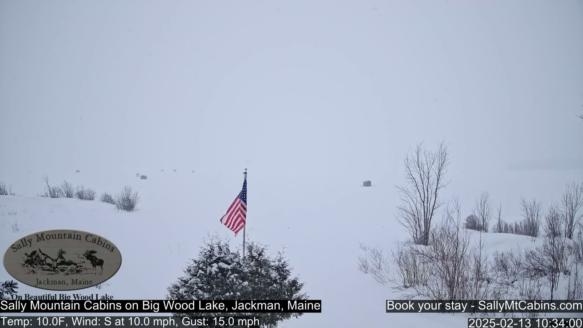 A snow-covered landscape with a small American flag, some bare trees, and a few distant structures is visible in heavy snowfall.