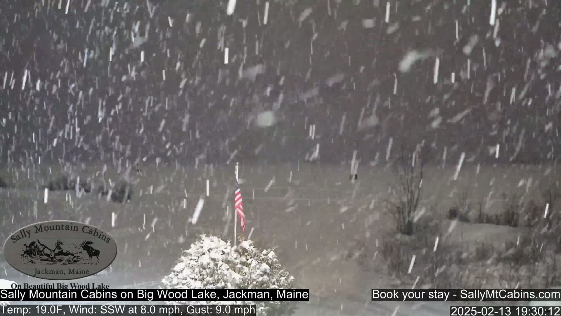 A snow-covered landscape with a small American flag is seen during a heavy snowfall.