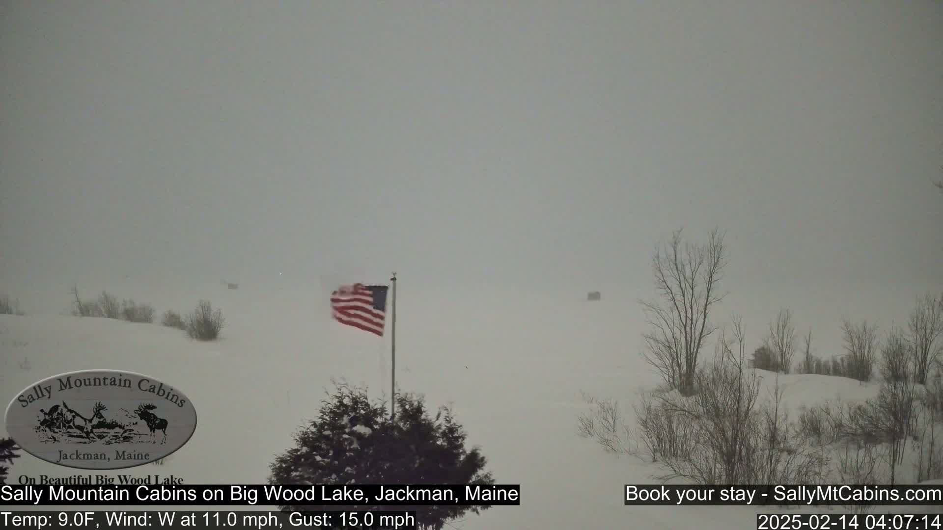 A snow-covered landscape with a US flag waving in the wind during a heavy snowstorm.