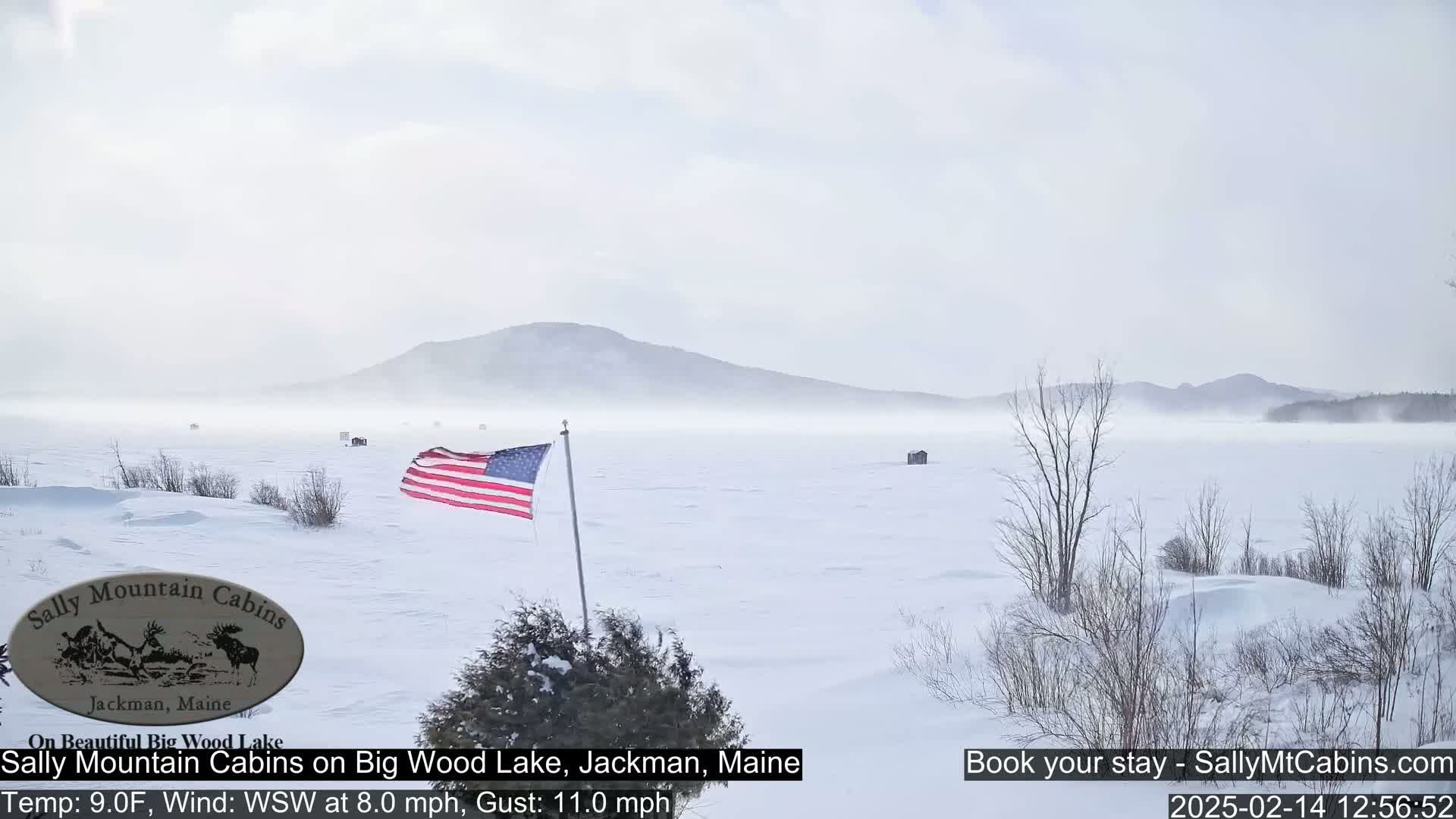 A snow-covered frozen lake stretches to a hazy mountain range under a cloudy sky, with a small American flag planted near the foreground.