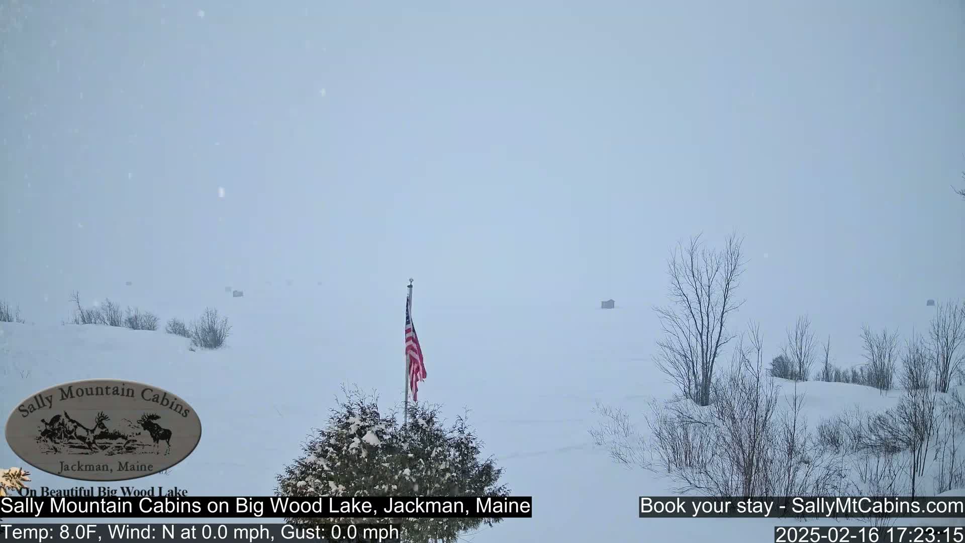A snow-covered landscape with bare trees and a small American flag is visible under lightly falling snow.